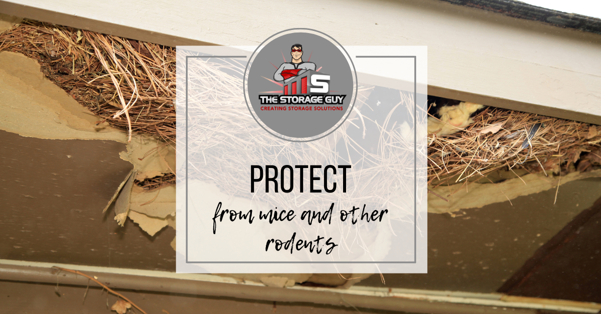 Protect-mice-other-rodents